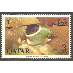 QATAR SCOTT 71