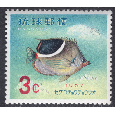 RYUKYU ISLANDS SCOTT 155