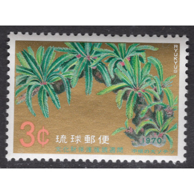 RYUKYU ISLANDS SCOTT 205