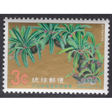 RYUKYU ISLANDS SCOTT 205