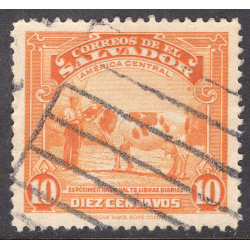 SALVADOR SCOTT 579