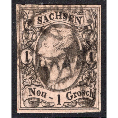 SAXONY SCOTT 10