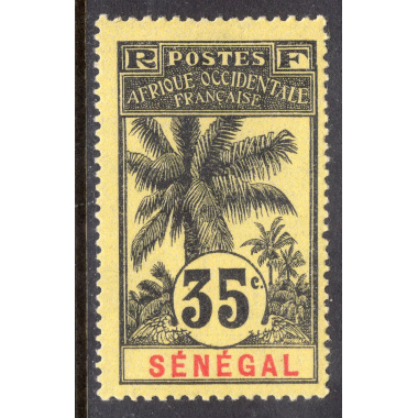 SENEGAL SCOTT 66