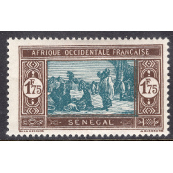 SENEGAL SCOTT 118