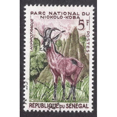 SENEGAL SCOTT 195