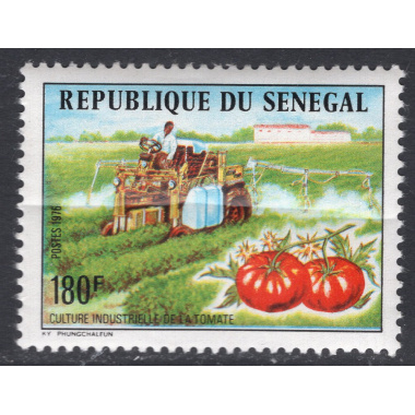 SENEGAL SCOTT 434