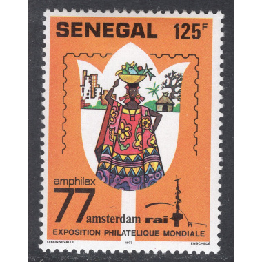 SENEGAL SCOTT 453