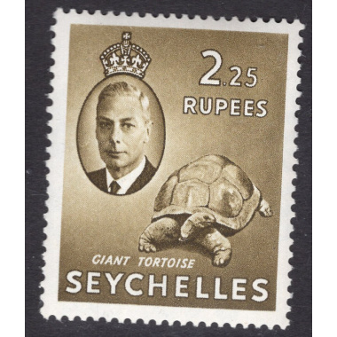 SEYCHELLES SCOTT 169