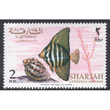 SHARJAH SCOTT 146