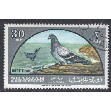 SHARJAH SCOTT C28