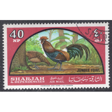 SHARJAH SCOTT C29