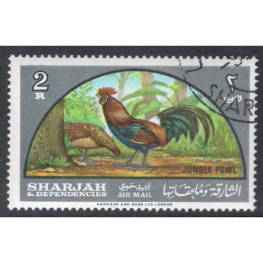 SHARJAH SCOTT C32