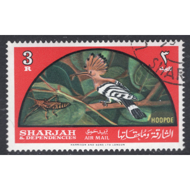 SHARJAH SCOTT C33