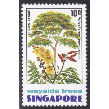 SINGAPORE SCOTT 243