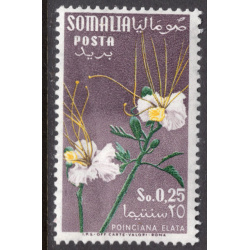 SOMALIA SCOTT 201