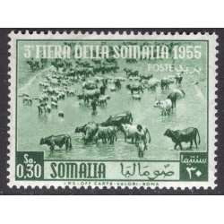 SOMALIA SCOTT 206