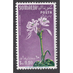 SOMALIA SCOTT 217