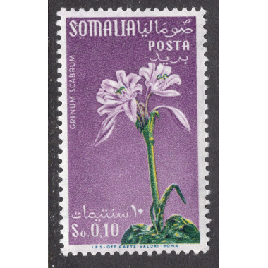 SOMALIA SCOTT 217