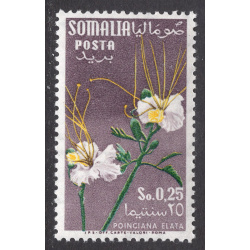 SOMALIA SCOTT 219