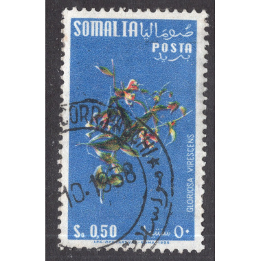 SOMALIA SCOTT 220