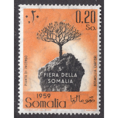 SOMALIA SCOTT 234