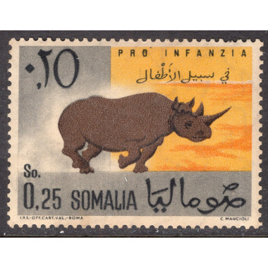 SOMALIA SCOTT 247