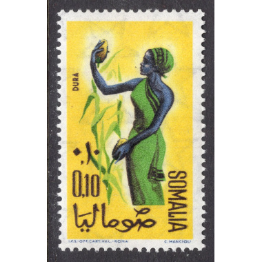 SOMALIA SCOTT 251