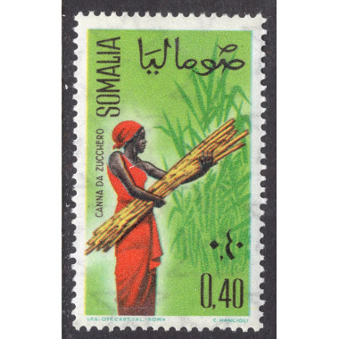 SOMALIA SCOTT 254