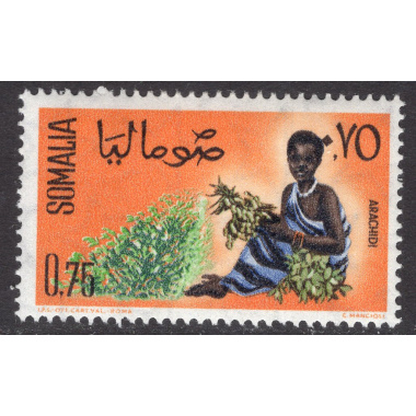 SOMALIA SCOTT 256