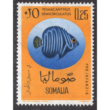 SOMALIA SCOTT 261