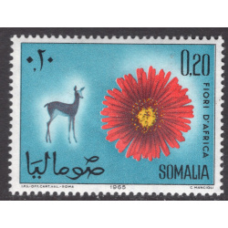 SOMALIA SCOTT 282