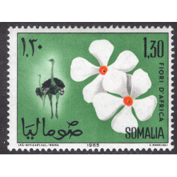 SOMALIA SCOTT 285