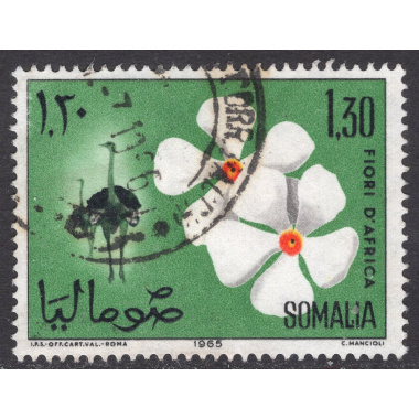 SOMALIA SCOTT 285