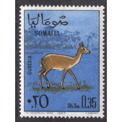 SOMALIA SCOTT 302