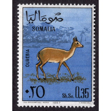 SOMALIA SCOTT 302