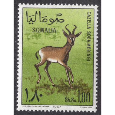 SOMALIA SCOTT 305