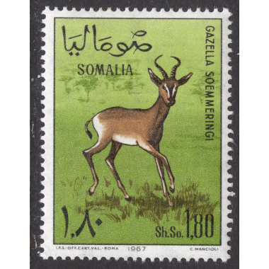 SOMALIA SCOTT 305