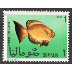 SOMALIA SCOTT 318