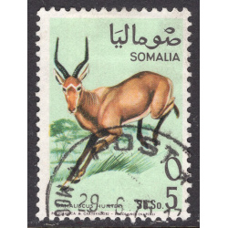 SOMALIA SCOTT 334
