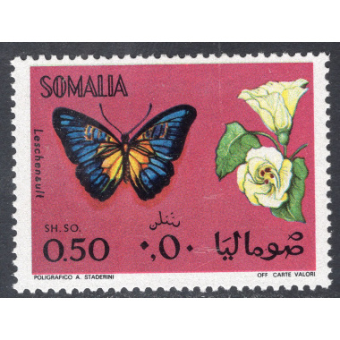 SOMALIA SCOTT 354
