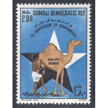 SOMALIA SCOTT 363