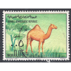 SOMALIA SCOTT 388
