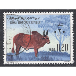 SOMALIA SCOTT 390