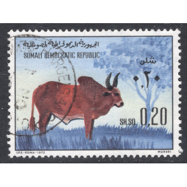 SOMALIA SCOTT 390
