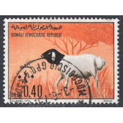 SOMALIA SCOTT 391