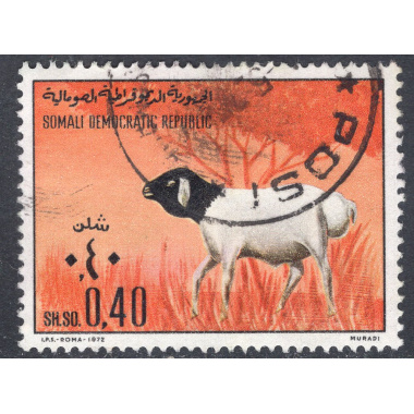 SOMALIA SCOTT 391