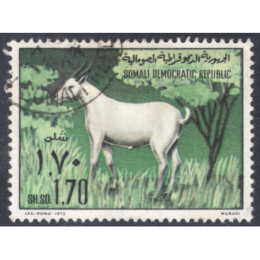 SOMALIA SCOTT 392