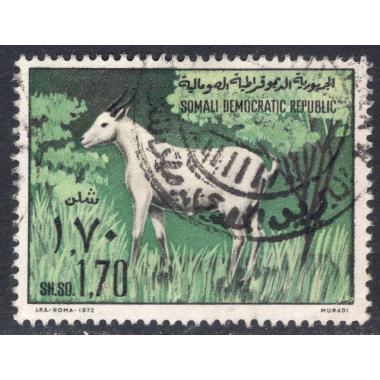 SOMALIA SCOTT 392