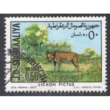 SOMALIA SCOTT 444