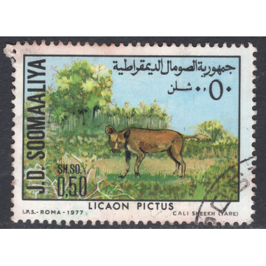 SOMALIA SCOTT 444